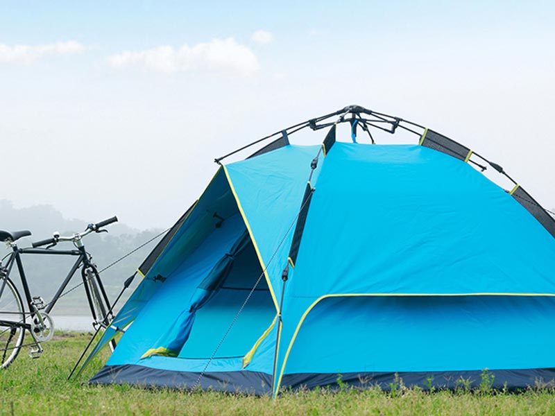 野營糖心AV下载